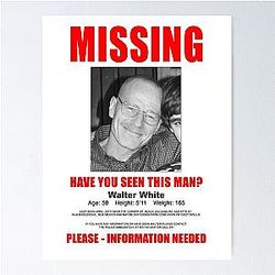 Walter White Missing Poster