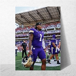 Washington Huskies Collection for fans Washington Huskies Posters