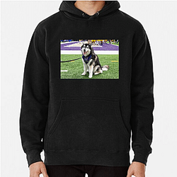 Washington Huskies Special Collection Washington Huskies Hoodies