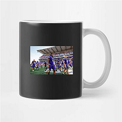 Washington Huskies Collection for fans Washington Huskies Mugs