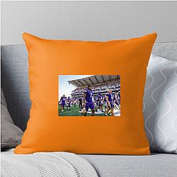 Washington Huskies Collection for fans Washington Huskies Pillows Cover