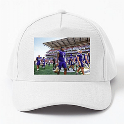 Washington Huskies Collection for fans Washington Huskies Hats & Caps