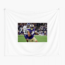 Washington Huskies Fan Art Washington Huskies Tapestries
