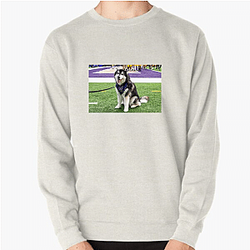 Washington Huskies Special Collection Washington Huskies Sweatshirts