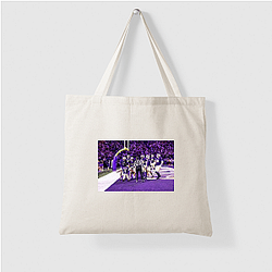 Washington Huskies Merchandise Washington Huskies Bags