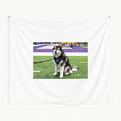 Washington Huskies Special Collection Washington Huskies Tapestries