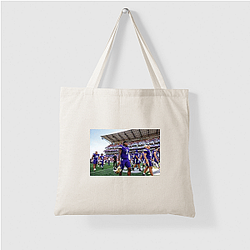 Washington Huskies Collection for fans Washington Huskies Bags
