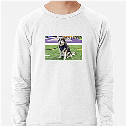 Washington Huskies Special Collection Washington Huskies Sweatshirts