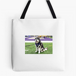 Washington Huskies Special Collection Washington Huskies Bags