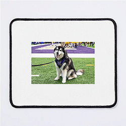 Washington Huskies Special Collection Washington Huskies Mouse Pads