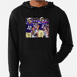 Washington Huskies Limited Collection Washington Huskies Hoodies