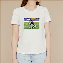 Washington Huskies Special Collection Washington Huskies T-Shirts