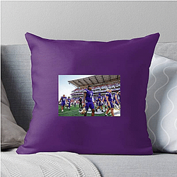 Washington Huskies Collection for fans Washington Huskies Pillows Cover
