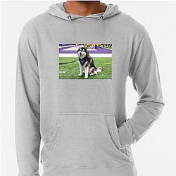 Washington Huskies Special Collection Washington Huskies Hoodies