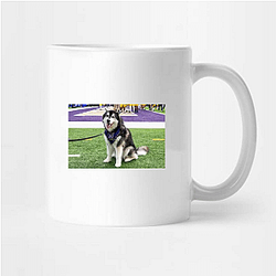 Washington Huskies Special Collection Washington Huskies Mugs