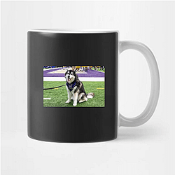 Washington Huskies Special Collection Washington Huskies Mugs