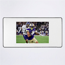Washington Huskies Fan Art Washington Huskies Mouse Pads