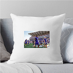 Washington Huskies Collection for fans Washington Huskies Pillows Cover