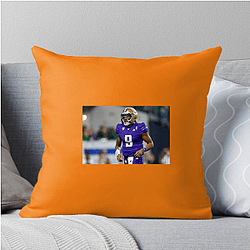 Washington Huskies Merchandise For Fans Washington Huskies Pillows Cover