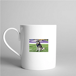 Washington Huskies Special Collection Washington Huskies Mugs