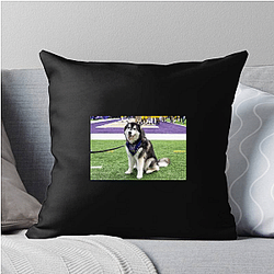 Washington Huskies Special Collection Washington Huskies Pillows Cover