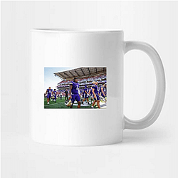 Washington Huskies Collection for fans Washington Huskies Mugs