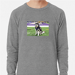 Washington Huskies Special Collection Washington Huskies Sweatshirts
