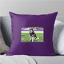 Washington Huskies Special Collection Washington Huskies Pillows Cover