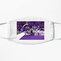 Washington Huskies Merchandise Washington Huskies Face Masks