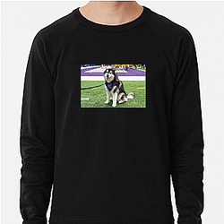 Washington Huskies Special Collection Washington Huskies Sweatshirts