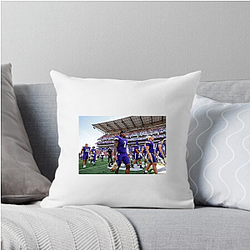 Washington Huskies Collection for fans Washington Huskies Pillows Cover