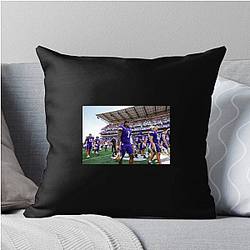Washington Huskies Collection for fans Washington Huskies Pillows Cover