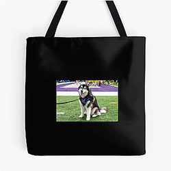 Washington Huskies Special Collection Washington Huskies Bags