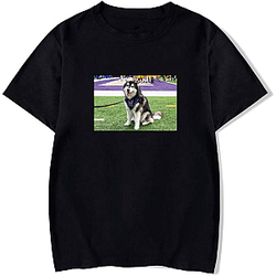 Washington Huskies Special Collection Washington Huskies T-Shirts
