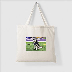 Washington Huskies Special Collection Washington Huskies Bags
