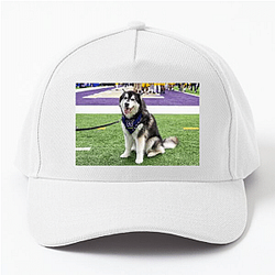 Washington Huskies Special Collection Washington Huskies Hats & Caps