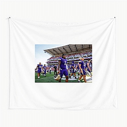 Washington Huskies Collection for fans Washington Huskies Tapestries