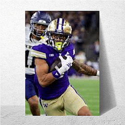 Washington Huskies Fan Art Washington Huskies Posters