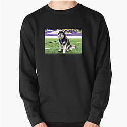 Washington Huskies Special Collection Washington Huskies Sweatshirts