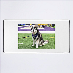 Washington Huskies Special Collection Washington Huskies Mouse Pads