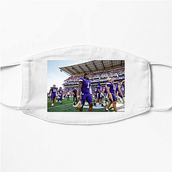 Washington Huskies Collection for fans Washington Huskies Face Masks