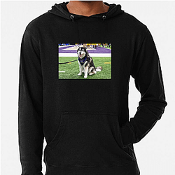 Washington Huskies Special Collection Washington Huskies Hoodies