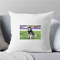 Washington Huskies Special Collection Washington Huskies Pillows Cover