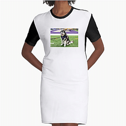 Washington Huskies Special Collection Washington Huskies Dresses