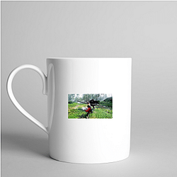 Where Winds Meet Collection for fans Where Winds Meet Mugs