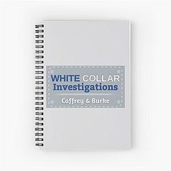 White Collar Investigations Notebook