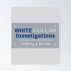 White Collar Investigations