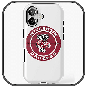 Wisconsin Badgers Cases