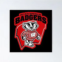Classy Wisconsin Badgers Design