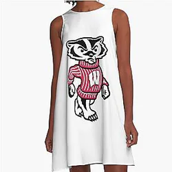 Wisconsin Badgers  A-Line Dress